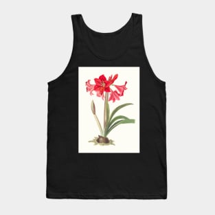 Hardy Amaryllis - botanical illustration Tank Top